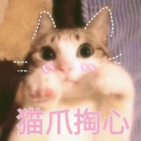 猎魂觉醒鲤鱼课堂萌新篇