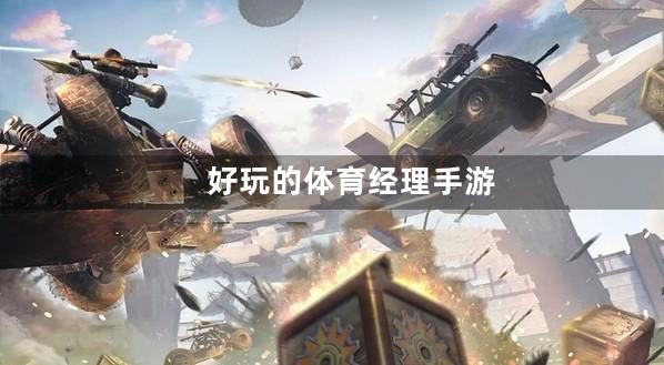 体育经理
