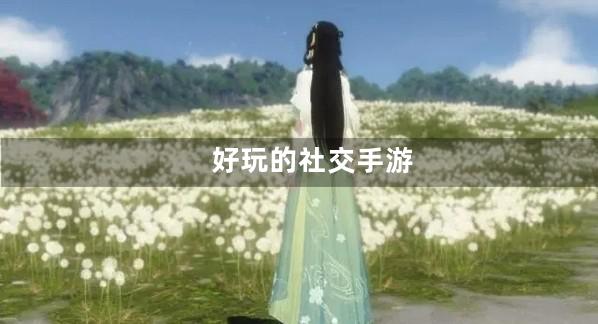 社交