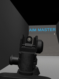 Aim Master