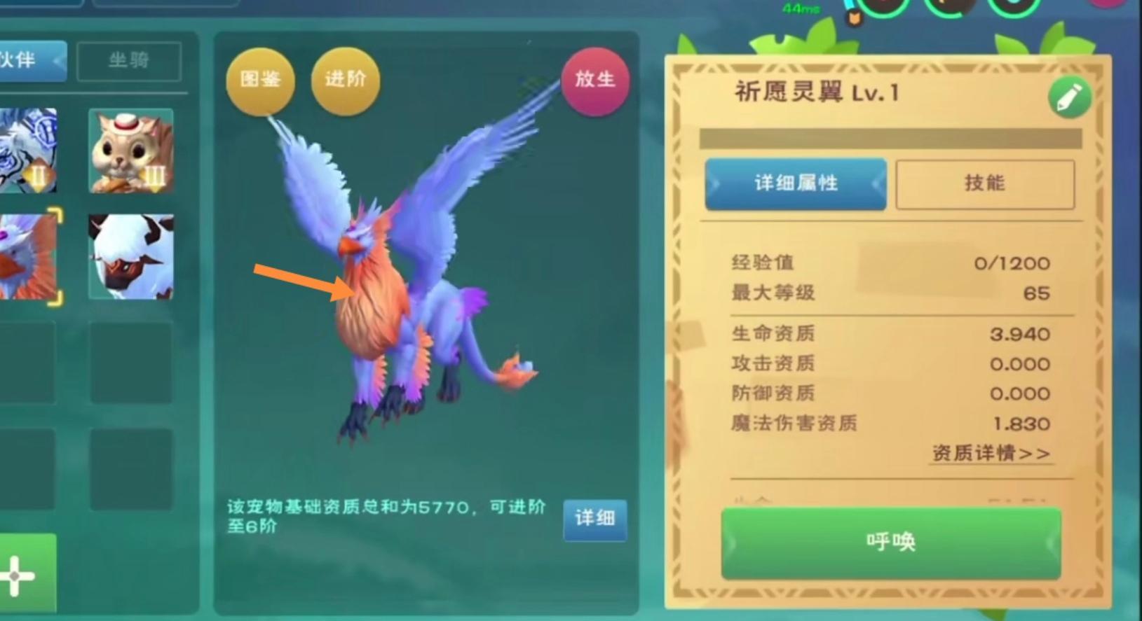 创造与魔法祈愿灵翼和松鼠哪个好？