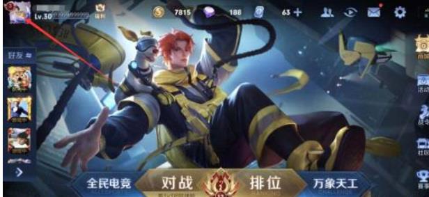 王者S30能看到历史名字吗