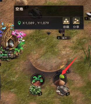 小小蚁国占领有什么作用？