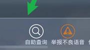 吃鸡怎么查点券消费记录？