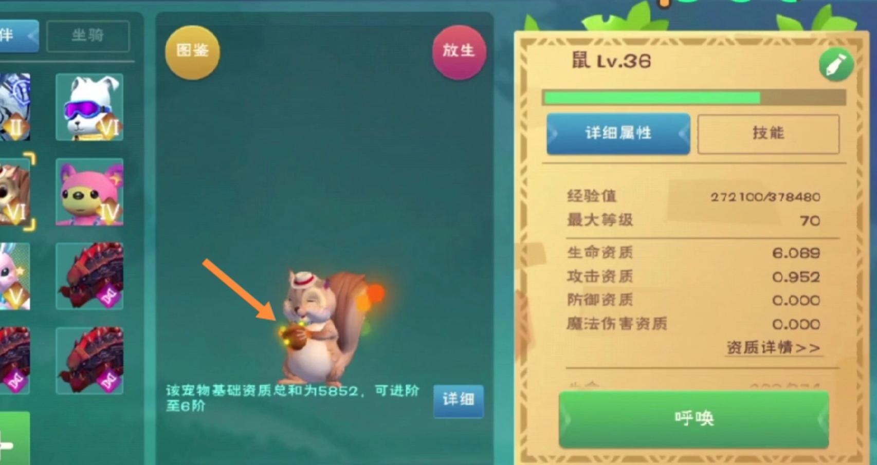 创造与魔法祈愿灵翼和松鼠哪个好?