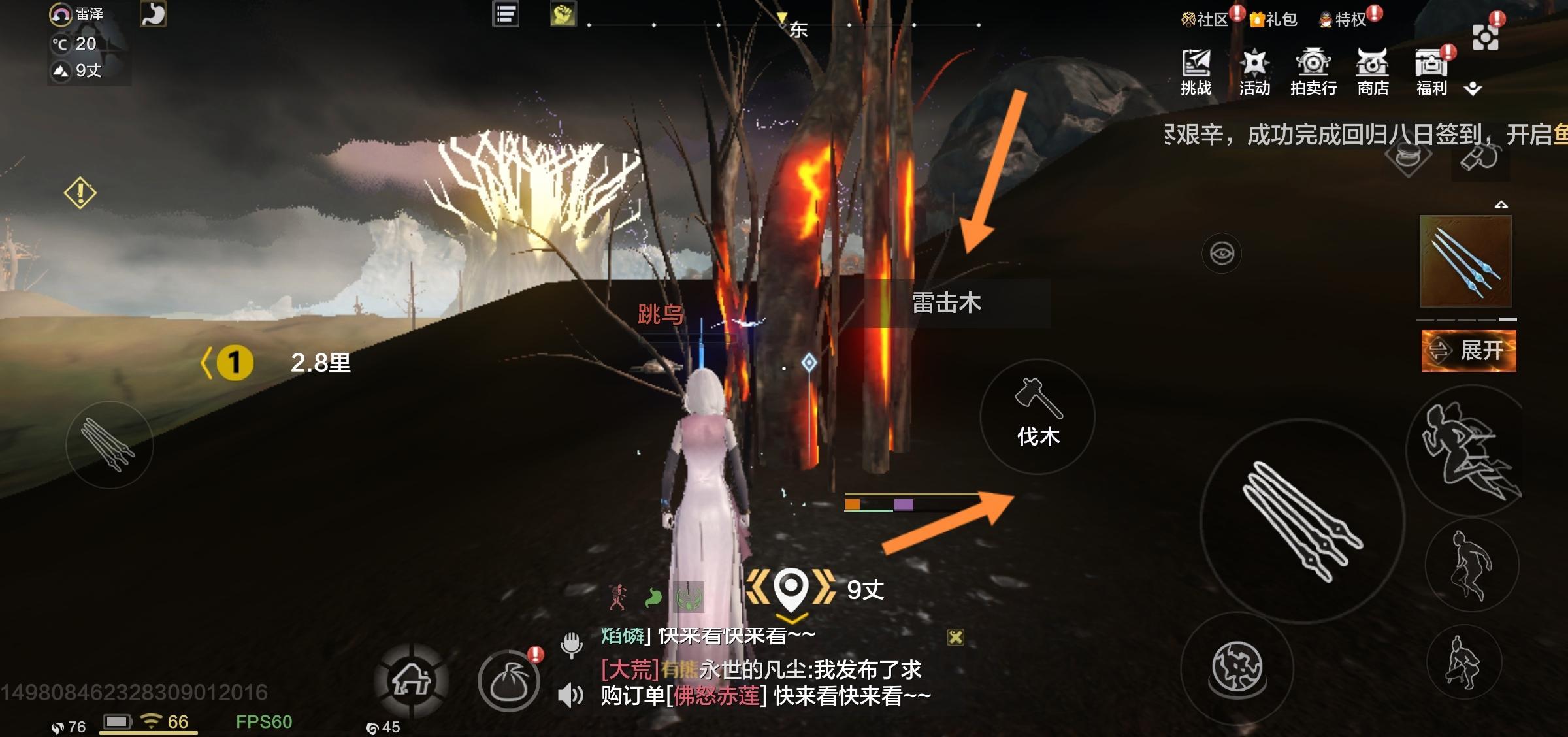 妄想山海雷击木在哪里刷