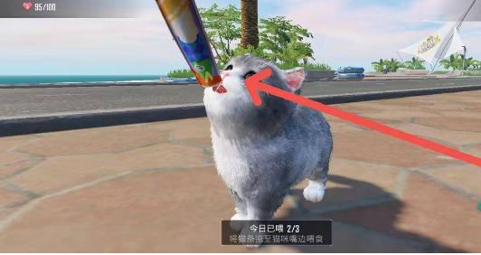 和平精英手游家园怎么给猫喂食物_和平精英如何给猫提供食物