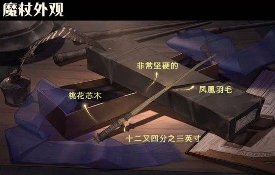 哈利波特：魔法觉醒凤凰羽毛芯魔杖是谁的