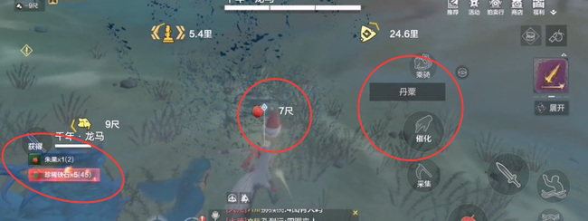 妄想山海手游朱果怎么获得